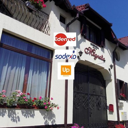 Pensiunea Magnolia Sibiu Exterior foto