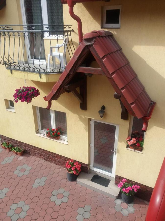 Pensiunea Magnolia Sibiu Exterior foto