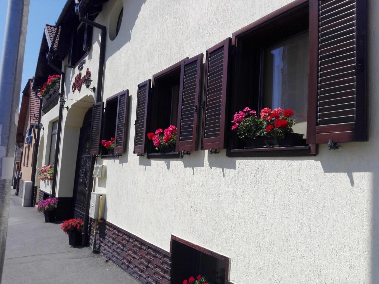 Pensiunea Magnolia Sibiu Exterior foto
