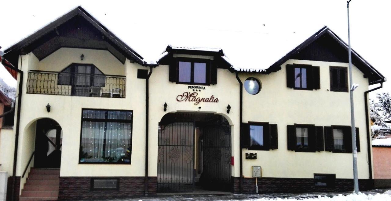 Pensiunea Magnolia Sibiu Exterior foto